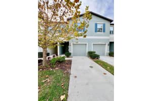 7639 GINGER LILY COURT, TAMPA, FL 33619 - MLS#MFRTB8493258