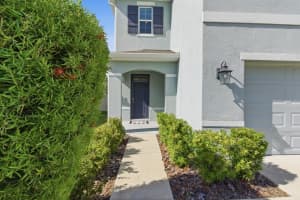 16129 SOFT FERN TERRACE, ODESSA, FL 33556 - MLS#MFRTB8493265