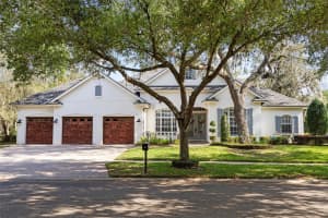 16109 TERNGLADE DRIVE, LITHIA, FL 33547 - MLS#MFRTB8493284