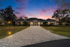 8510 KENTUCKY DERBY DRIVE, ODESSA, FL 33556 - MLS#MFRTB8493286