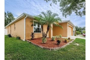 36035 Laguna Hills Cir, ZEPHYRHILLS