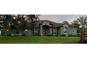 1 MINTWOOD POINT, HOMOSASSA, FL 34446 - MLS#MFRTB8493306
