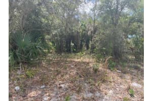 SCOTTISH TER, NORTH PORT, FL 34288 - MLS#MFRTB8493312
