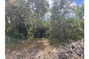 SCOTTISH TER, NORTH PORT, FL 34288 - MLS#MFRTB8493312
