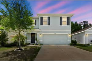 9124 WATER CHESTNUT DRIVE, TEMPLE TERRACE, FL 33637 - MLS#MFRTB8493330