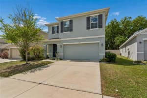 9124 WATER CHESTNUT DRIVE, TEMPLE TERRACE, FL 33637 - MLS#MFRTB8493330