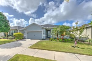 11130 SPRING POINT CIRCLE, RIVERVIEW, FL 33579 - MLS#MFRTB8493335
