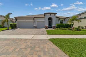 4241 AMPED WAY, LAND O LAKES, FL 34638 - MLS#MFRTB8493371
