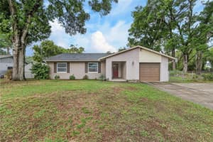 2701 BRANDON VIEW DRIVE, BRANDON, FL 33511 - MLS#MFRTB8493380