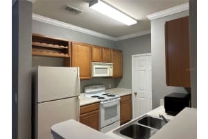 18302 BRIDLE CLUB DRIVE, TAMPA, FL 33647 - MLS#MFRTB8493382