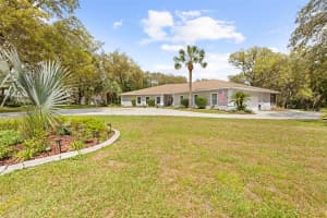 161 CHASE STREET, HERNANDO, FL 34442 - MLS#MFRTB8493404