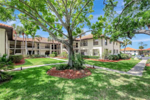 1006 HAMMOCK PINE BOULEVARD, CLEARWATER, FL 33761 - MLS#MFRTB8493410