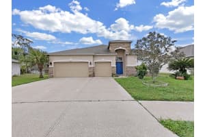 4644 Braesgate Ct, LAND O LAKES