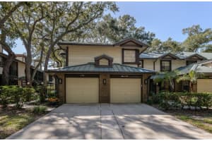 1491 MAHOGANY LANE, PALM HARBOR, FL 34683 - MLS#MFRTB8493463