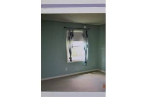 13735 JUNIPER BLOSSOM DRIVE, TAMPA, FL 33618 - MLS#MFRTB8493464