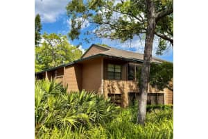 1001 LENNOX ROAD, PALM HARBOR, FL 34683 - MLS#MFRTB8493486