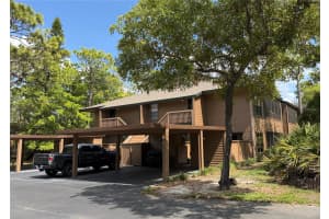 1001 LENNOX ROAD, PALM HARBOR, FL 34683 - MLS#MFRTB8493486