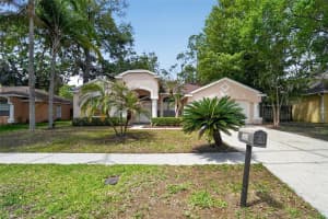 3725 HOLLOW WOOD DRIVE, VALRICO, FL 33596 - MLS#MFRTB8493518