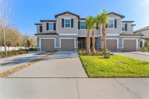 6288 SHINER STREET, LAND O LAKES, FL 34638 - MLS#MFRTB8493522