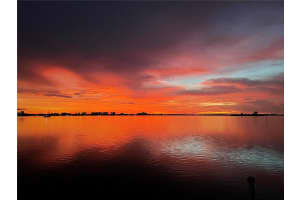 202 FAIRMONT STREET, CLEARWATER, FL 33755 - MLS#MFRTB8493540