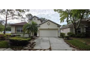 10906 TREE CACTUS LOOP, LAND O LAKES, FL 34638 - MLS#MFRTB8493541