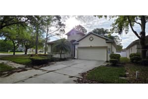 10906 TREE CACTUS LOOP, LAND O LAKES, FL 34638 - MLS#MFRTB8493541