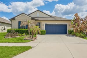 21922 CREST MEADOW DRIVE, LAND O LAKES, FL 34637 - MLS#MFRTB8493545