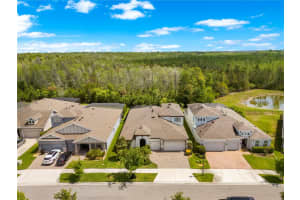 4374 TUNER BEND, LAND O LAKES, FL 34638 - MLS#MFRTB8493551