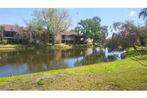 875 VILLAGE DRIVE, ST PETERSBURG, FL 33716 - MLS#MFRTB8493566
