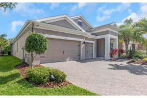 6916 NEOPOLITAN COURT, APOLLO BEACH, FL 33572 - MLS#MFRTB8493573