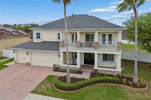 11830 NEWBERRY GROVE LOOP, RIVERVIEW, FL 33579 - MLS#MFRTB8493592