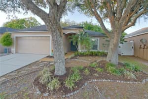 24809 RAVELLO STREET, LAND O LAKES, FL 34639 - MLS#MFRTB8493605