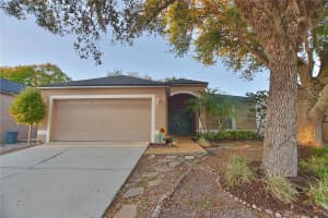24809 RAVELLO STREET, LAND O LAKES, FL 34639 - MLS#MFRTB8493605