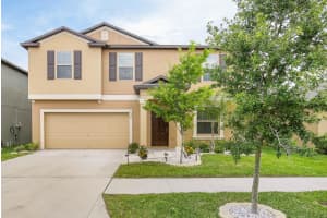 7322 King Creek Dr, SUN CITY CENTER