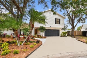 10503 NILE COURT, TAMPA, FL 33615 - MLS#MFRTB8493616
