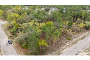 1877 PENDLETON STREET, DUNNELLON, FL 34434 - MLS#MFRTB8493623