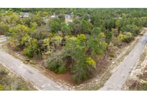 1877 PENDLETON STREET, DUNNELLON, FL 34434 - MLS#MFRTB8493623