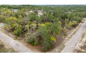 1877 PENDLETON STREET, DUNNELLON, FL 34434 - MLS#MFRTB8493623