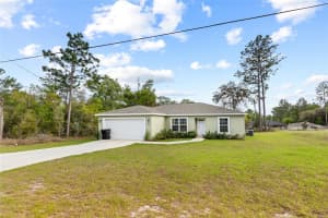 2700 RUTLAND DRIVE, CITRUS SPRINGS, FL 34434 - MLS#MFRTB8493627