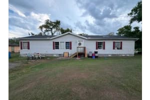 7408 Alvina St, TAMPA