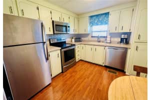 204 RED MAPLE DRIVE, PALM HARBOR, FL 34684 - MLS#MFRTB8493661