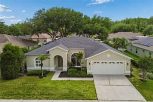 1311 WYNDHAM LAKES DRIVE, ODESSA, FL 33556 - MLS#MFRTB8493720