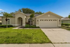 1311 WYNDHAM LAKES DRIVE, ODESSA, FL 33556 - MLS#MFRTB8493720