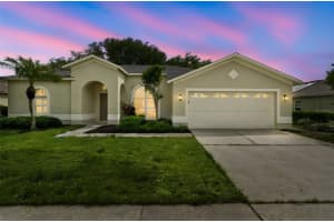 1311 WYNDHAM LAKES DRIVE, ODESSA, FL 33556 - MLS#MFRTB8493720