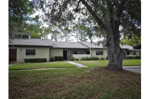 160 JOANNE PLACE, OLDSMAR, FL 34677 - MLS#MFRTB8493722