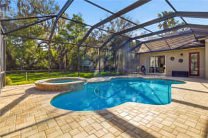 15108 KESTRELGLEN WAY, LITHIA, FL 33547 - MLS#MFRTB8493744