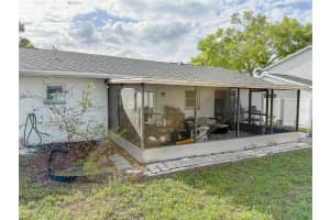 12523 CARDIFF DRIVE, TAMPA, FL 33625 - MLS#MFRTB8493792