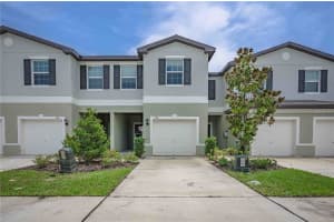 2136 CERULEAN SKY WAY, LUTZ, FL 33558 - MLS#MFRTB8493794