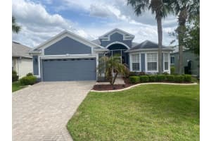 10312 Old Tampa Bay Dr, SAN ANTONIO