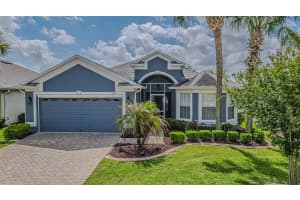 10312 OLD TAMPA BAY DRIVE, SAN ANTONIO, FL 33576 - MLS#MFRTB8493796
